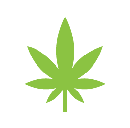 Cannabis Testing